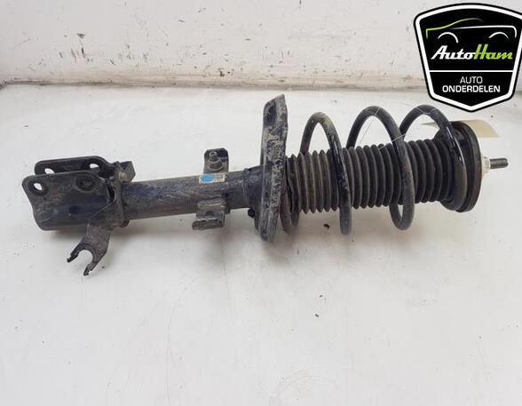 Shock Absorber RENAULT CLIO V (B7_)