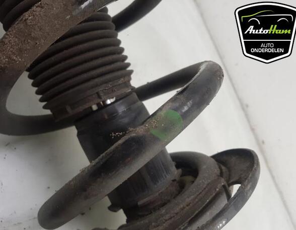 Shock Absorber FORD TRANSIT V363 Van (FCD, FDD), FORD TRANSIT V363 Bus (FAD, FBD)