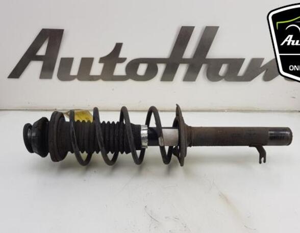 Shock Absorber TOYOTA AYGO (_B1_), PEUGEOT 107 (PM_, PN_), CITROËN C1 (PM_, PN_)