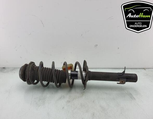 Shock Absorber PEUGEOT 107 (PM_, PN_), TOYOTA AYGO (_B1_), CITROËN C1 (PM_, PN_)