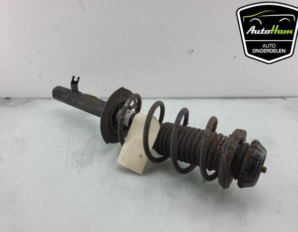 Shock Absorber PEUGEOT 107 (PM_, PN_), TOYOTA AYGO (_B1_), CITROËN C1 (PM_, PN_)