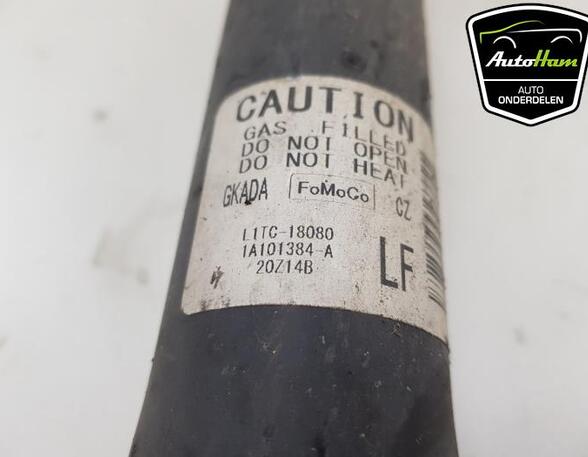 Shock Absorber FORD PUMA (J2K, CF7)