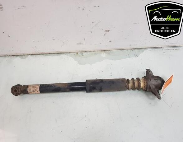 Shock Absorber VW TIGUAN (5N_)