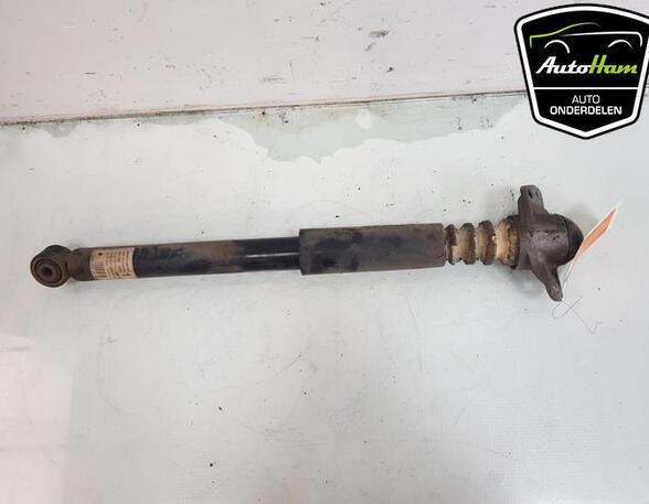 Shock Absorber VW TIGUAN (5N_)