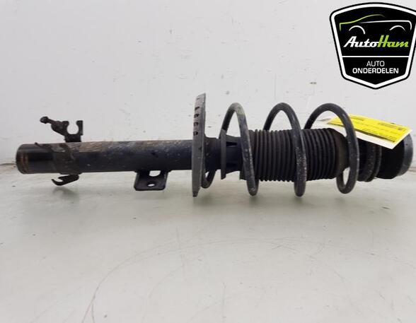 Shock Absorber SKODA CITIGO (NF1)