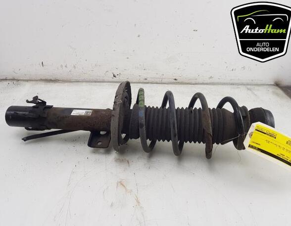 Shock Absorber VW POLO (6R1, 6C1), VW POLO Van (6R), SEAT IBIZA IV (6J5, 6P1), SEAT IBIZA IV SC (6J1, 6P5)