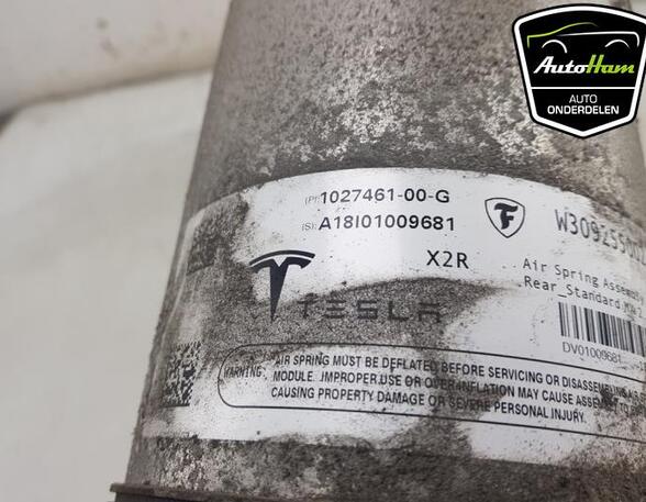 Shock Absorber TESLA MODEL X (5YJX)