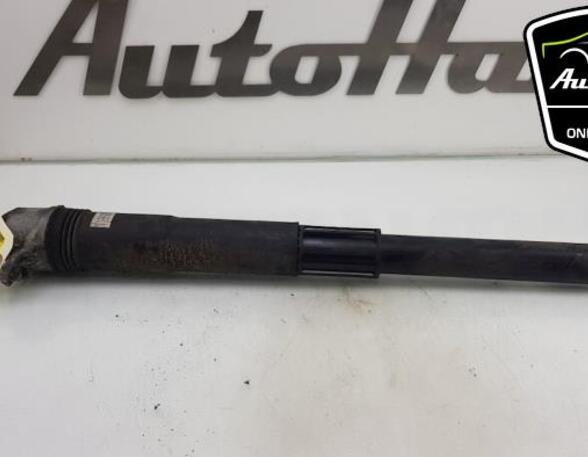 Shock Absorber VW GOLF VII Variant (BA5, BV5)