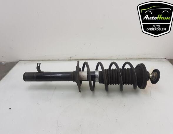 Shock Absorber PEUGEOT 107 (PM_, PN_), CITROËN C1 (PM_, PN_), TOYOTA AYGO (_B1_)