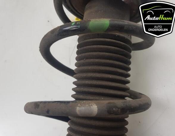 Shock Absorber SUZUKI ALTO (GF)