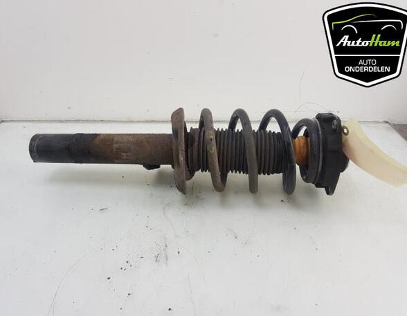 Shock Absorber AUDI TT (8J3)