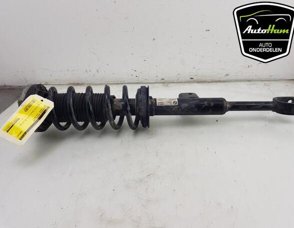 Shock Absorber BMW 5 Touring (G31)