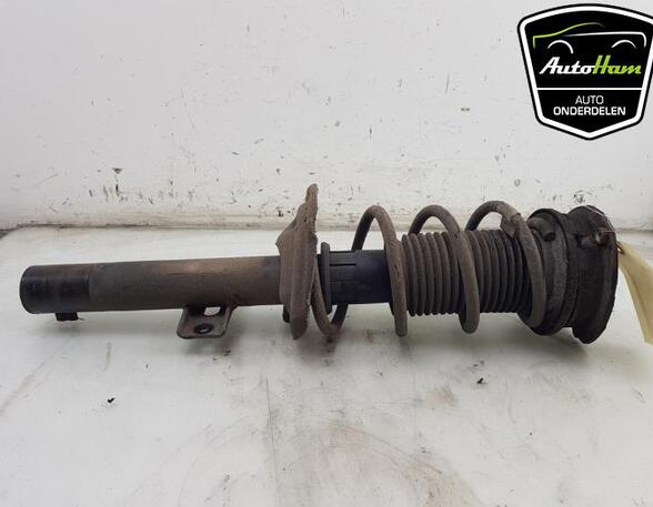 Shock Absorber SEAT IBIZA V (KJ1, KJG)