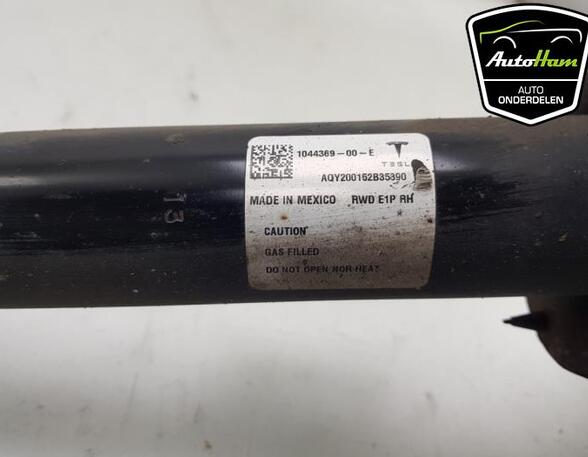 Shock Absorber TESLA MODEL 3 (5YJ3)