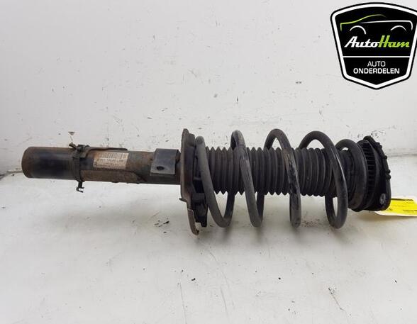 Shock Absorber FORD C-MAX II (DXA/CB7, DXA/CEU)