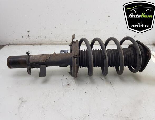 Shock Absorber FORD C-MAX II (DXA/CB7, DXA/CEU)