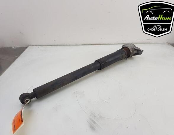 Shock Absorber MERCEDES-BENZ B-CLASS (W246, W242)