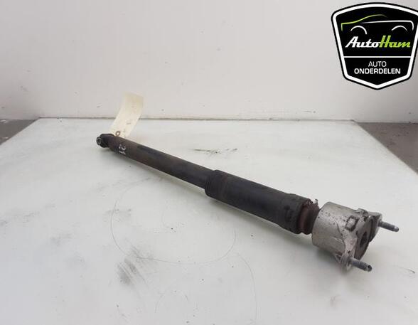 Shock Absorber MERCEDES-BENZ B-CLASS (W246, W242)