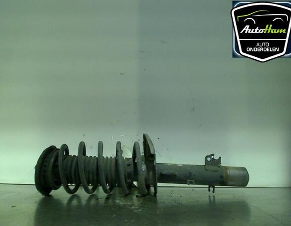 Shock Absorber PEUGEOT 207 (WA_, WC_), PEUGEOT 207 CC (WD_), PEUGEOT 207 SW (WK_)