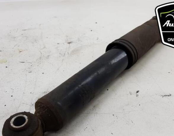 Shock Absorber FIAT PANDA (169_)