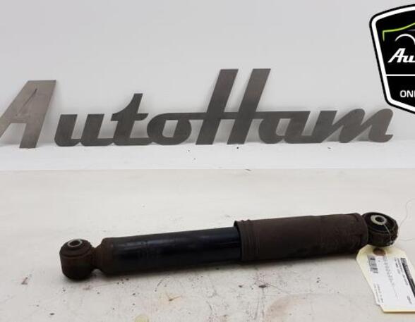 Shock Absorber FIAT PANDA (169_)