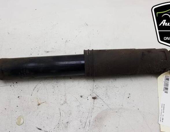 Shock Absorber FIAT PANDA (169_)