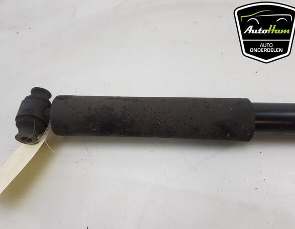 Shock Absorber FORD TRANSIT V363 Van (FCD, FDD), FORD TRANSIT V363 Bus (FAD, FBD)