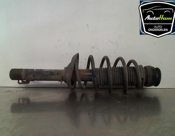 Shock Absorber SEAT TOLEDO II (1M2), SEAT LEON (1M1)