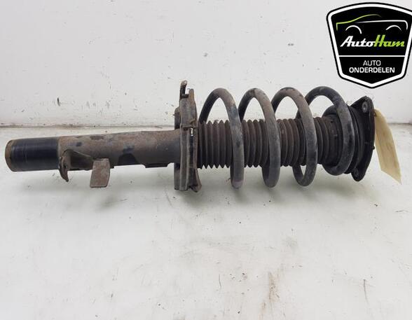 Shock Absorber FORD TRANSIT CONNECT V408 Box Body/MPV