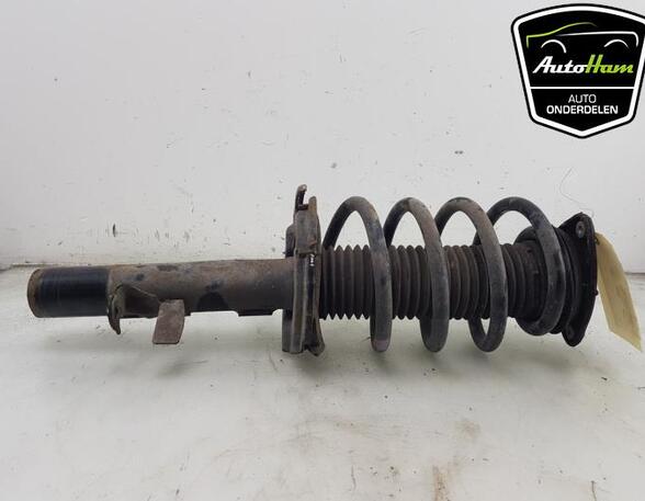 Shock Absorber FORD TRANSIT CONNECT V408 Box Body/MPV