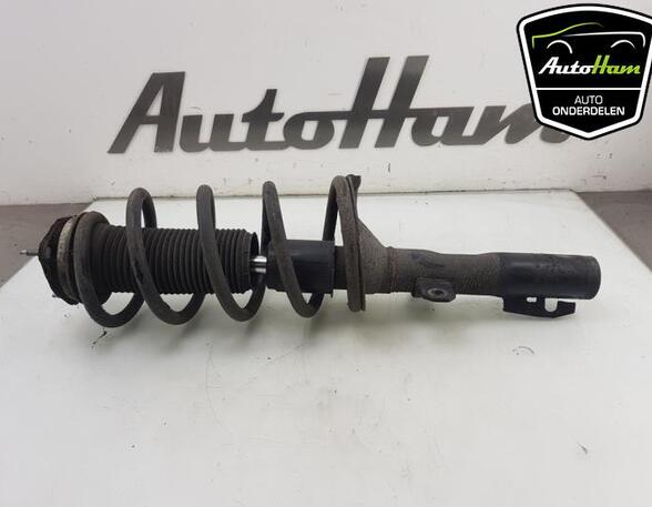 Shock Absorber FORD TRANSIT CUSTOM V362 Van (FY, FZ)