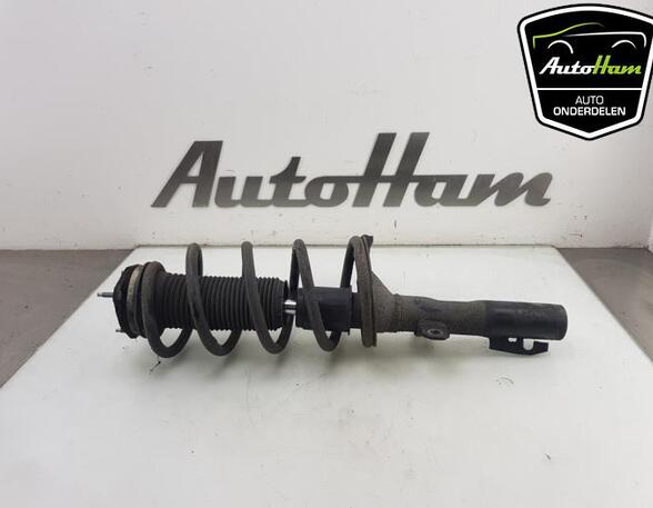 Shock Absorber FORD TRANSIT CUSTOM V362 Van (FY, FZ)