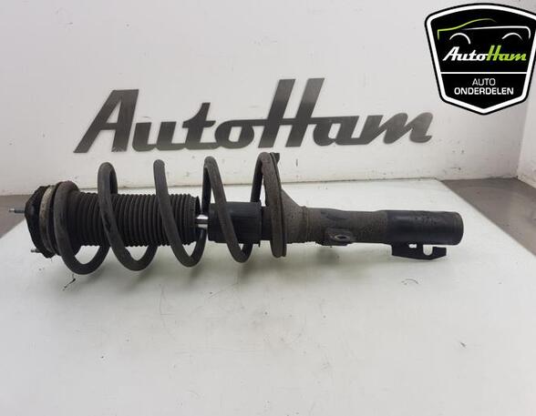 Shock Absorber FORD TRANSIT CUSTOM V362 Van (FY, FZ)