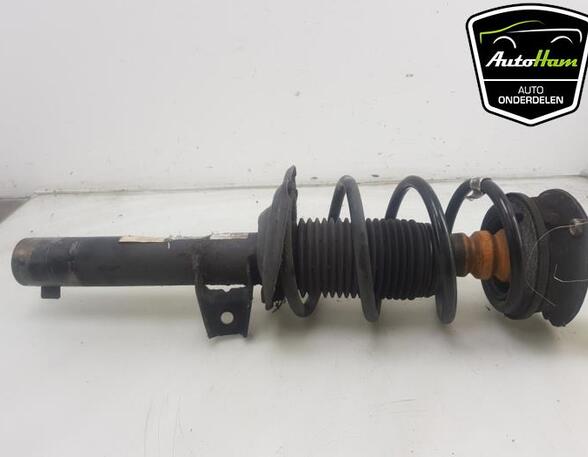 Shock Absorber SEAT IBIZA IV (6J5, 6P1), SEAT IBIZA IV SC (6J1, 6P5), VW GOLF VII (5G1, BQ1, BE1, BE2)