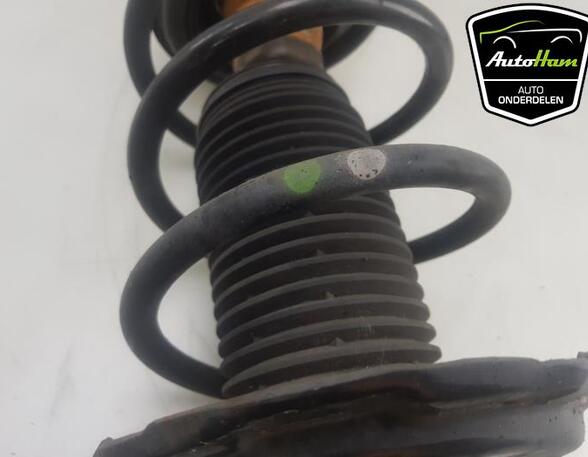 Shock Absorber SEAT IBIZA IV (6J5, 6P1), SEAT IBIZA IV SC (6J1, 6P5), VW GOLF VII (5G1, BQ1, BE1, BE2)