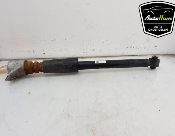 Shock Absorber AUDI A4 Avant (8W5, 8WD, B9)