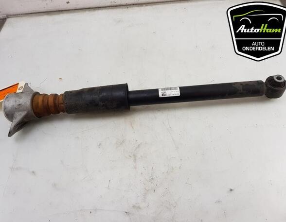 Shock Absorber AUDI A4 Avant (8W5, 8WD, B9)