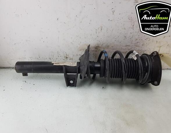 Shock Absorber SEAT LEON (KL1)