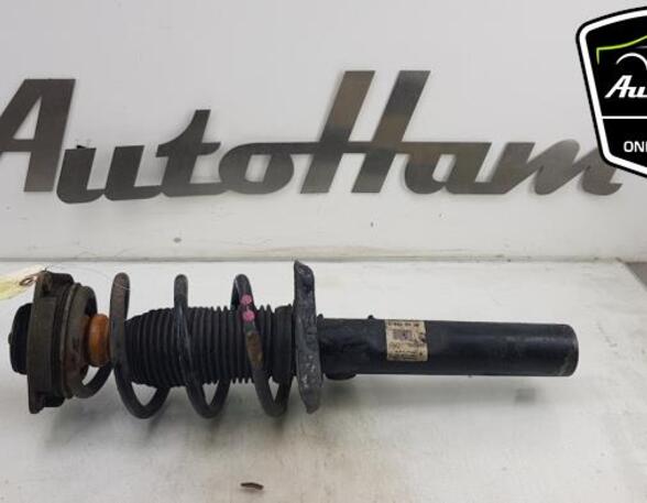 Shock Absorber AUDI TT Roadster (8J9)