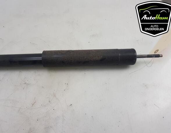 Shock Absorber SUZUKI VITARA (LY)