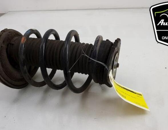 Shock Absorber FORD FOCUS III Turnier, FORD FOCUS III