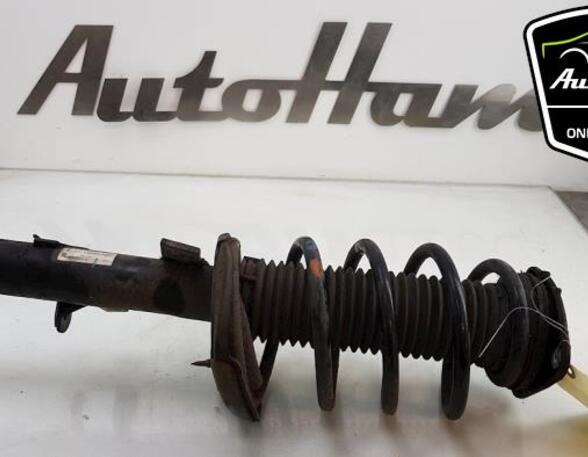 Shock Absorber FORD FOCUS III Turnier, FORD FOCUS III