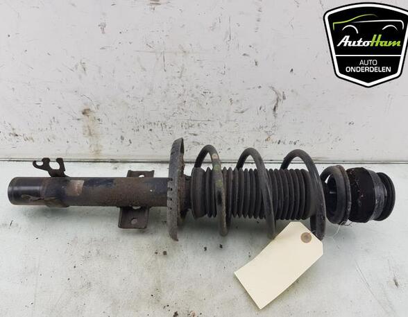 Shock Absorber VW UP! (121, 122, BL1, BL2, BL3, 123)