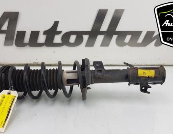 Shock Absorber FORD KA+ (UK, FK)