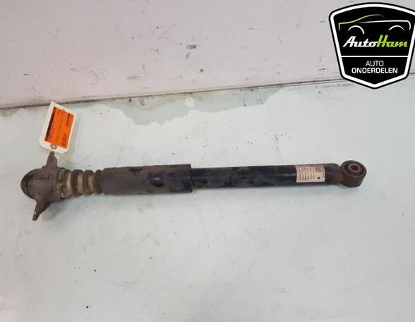 Shock Absorber VW TIGUAN (5N_)