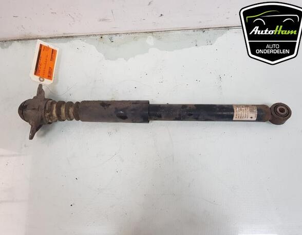 Shock Absorber VW TIGUAN (5N_)