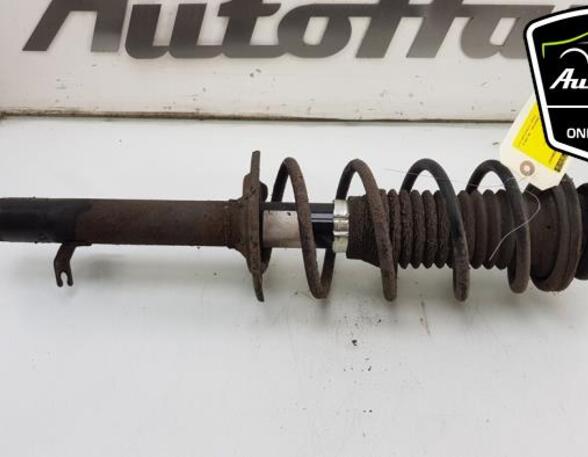 Shock Absorber PEUGEOT 107 (PM_, PN_), TOYOTA AYGO (_B1_), CITROËN C1 (PM_, PN_)