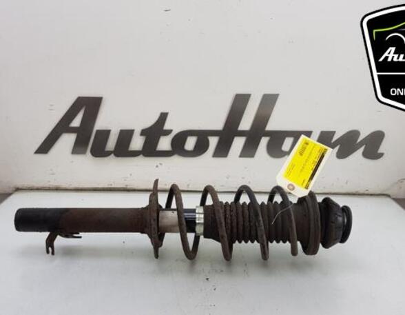 Shock Absorber PEUGEOT 107 (PM_, PN_), TOYOTA AYGO (_B1_), CITROËN C1 (PM_, PN_)