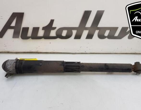 Shock Absorber VW TIGUAN (AD1, AX1), VW TIGUAN ALLSPACE (BW2)