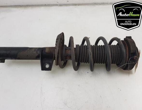 Shock Absorber VW GOLF V (1K1), VW GOLF VI (5K1), VW GOLF VAN VI Variant (AJ5), VW GOLF VI Van (5K1_)